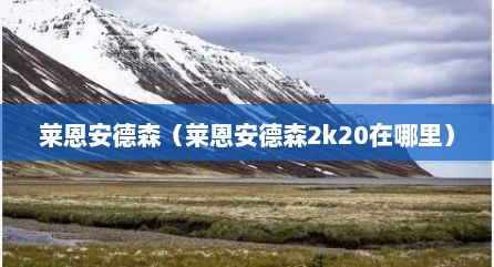 莱恩安德森（莱恩安德森2k20在哪里）