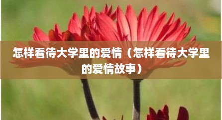 怎样看待大学里的爱情（怎样看待大学里的爱情故事）