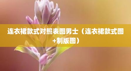连衣裙款式对照表图男士（连衣裙款式图+制版图）