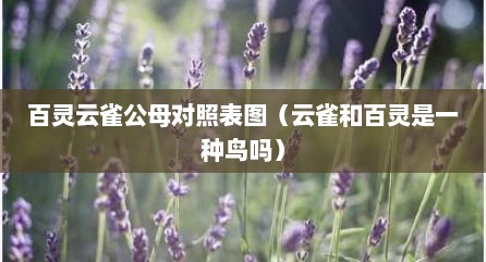 百灵云雀公母对照表图（云雀和百灵是一种鸟吗）