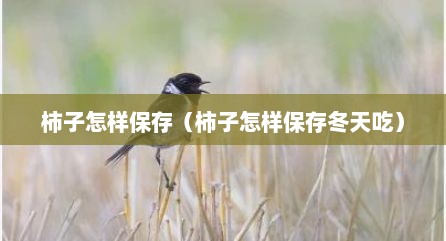 柿子怎样保存（柿子怎样保存冬天吃）