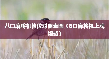八口麻将机档位对照表图（8口麻将机上牌视频）
