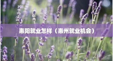 惠阳就业怎样（惠州就业机会）