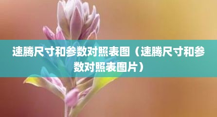 速腾尺寸和参数对照表图（速腾尺寸和参数对照表图片）