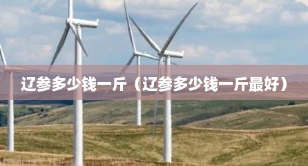 辽参多少钱一斤（辽参多少钱一斤最好）
