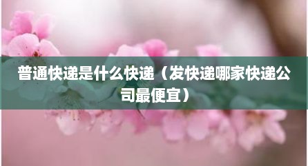 普通快递是什么快递（发快递哪家快递公司最便宜）
