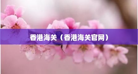 香港海关（香港海关官网）