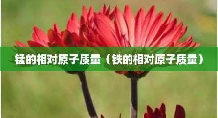 锰的相对原子质量（铁的相对原子质量）