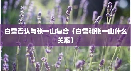 白雪否认与张一山复合（白雪和张一山什么关系）
