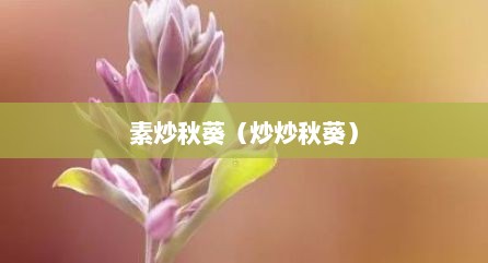 素炒秋葵（炒炒秋葵）