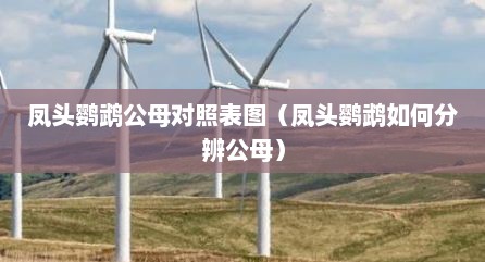 凤头鹦鹉公母对照表图（凤头鹦鹉如何分辨公母）