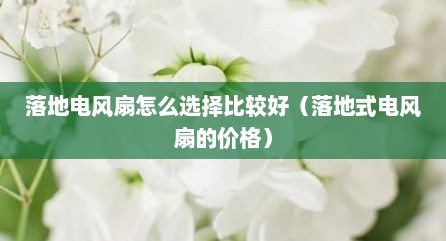 落地电风扇怎么选择比较好（落地式电风扇的价格）