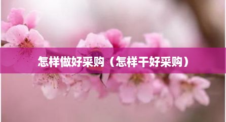 怎样做好采购（怎样干好采购）
