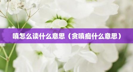 嗔怎么读什么意思（贪嗔痴什么意思）