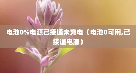 电池0%电源已接通未充电（电池0可用,已接通电源）