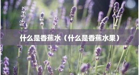 什么是香蕉水（什么是香蕉水果）