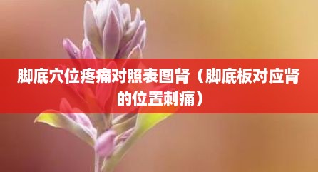 脚底穴位疼痛对照表图肾（脚底板对应肾的位置刺痛）