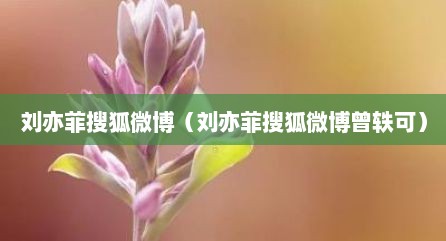 刘亦菲搜狐微博（刘亦菲搜狐微博曾轶可）