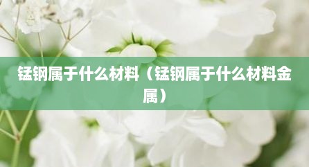 锰钢属于什么材料（锰钢属于什么材料金属）