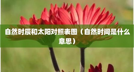 自然时辰和太阳对照表图（自然时间是什么意思）