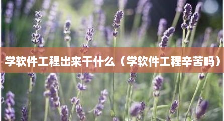 学软件工程出来干什么（学软件工程辛苦吗）