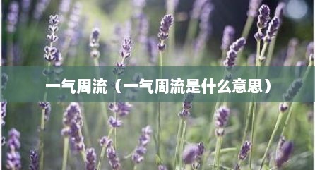 一气周流（一气周流是什么意思）