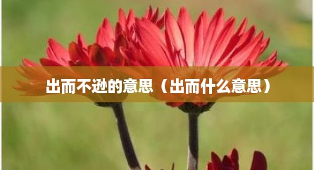出而不逊的意思（出而什么意思）