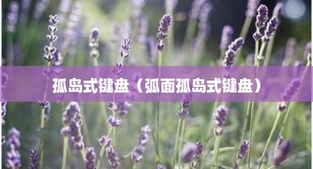 孤岛式键盘（弧面孤岛式键盘）