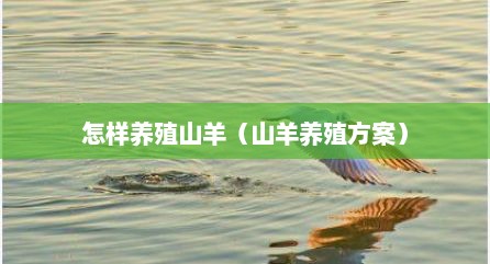 怎样养殖山羊（山羊养殖方案）