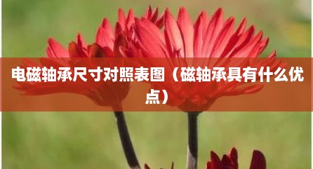 电磁轴承尺寸对照表图（磁轴承具有什么优点）