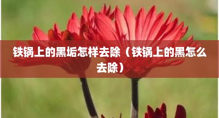 铁锅上的黑垢怎样去除（铁锅上的黑怎么去除）