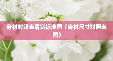 身材对照表肩宽标准图（身材尺寸对照表图）