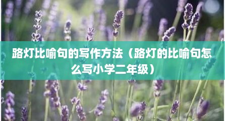路灯比喻句的写作方法（路灯的比喻句怎么写小学二年级）