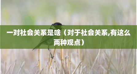 一对社会关系是啥（对于社会关系,有这么两种观点）