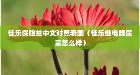 佳乐保险丝中文对照表图（佳乐继电器质量怎么样）