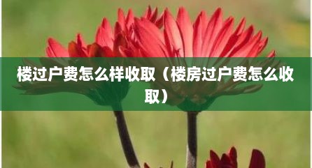楼过户费怎么样收取（楼房过户费怎么收取）