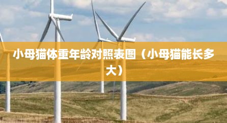 小母猫体重年龄对照表图（小母猫能长多大）