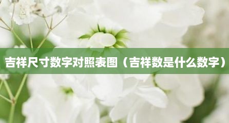 吉祥尺寸数字对照表图（吉祥数是什么数字）
