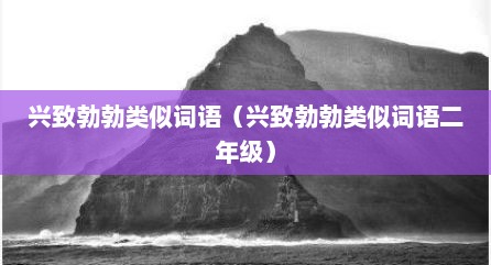 兴致勃勃类似词语（兴致勃勃类似词语二年级）