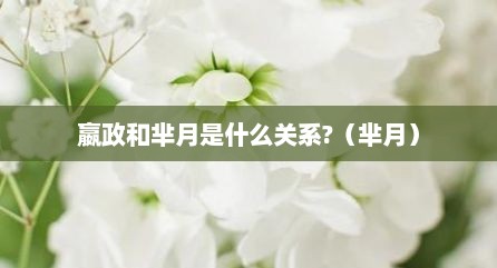 嬴政和芈月是什么关系?（芈月）