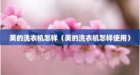 美的洗衣机怎样（美的洗衣机怎样使用）