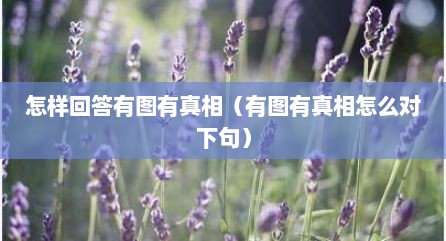 怎样回答有图有真相（有图有真相怎么对下句）