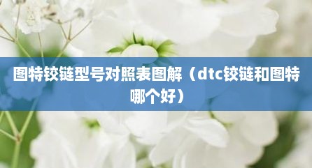 图特铰链型号对照表图解（dtc铰链和图特哪个好）