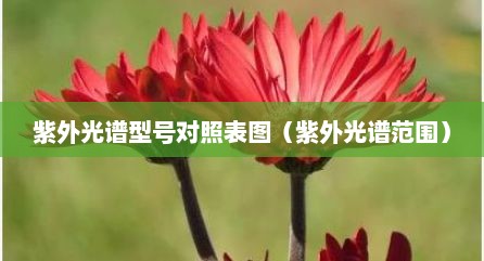 紫外光谱型号对照表图（紫外光谱范围）