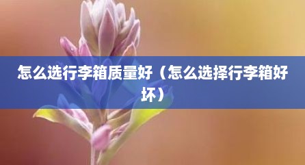 怎么选行李箱质量好（怎么选择行李箱好坏）