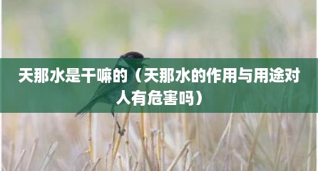天那水是干嘛的（天那水的作用与用途对人有危害吗）