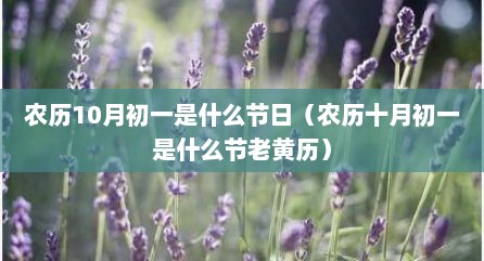 农历10月初一是什么节日（农历十月初一是什么节老黄历）