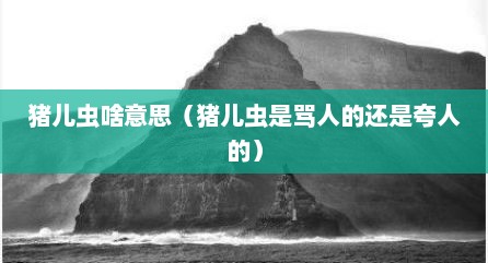 猪儿虫啥意思（猪儿虫是骂人的还是夸人的）