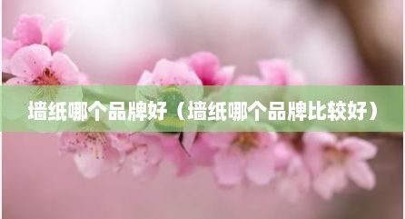 墙纸哪个品牌好（墙纸哪个品牌比较好）