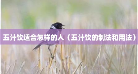 五汁饮适合怎样的人（五汁饮的制法和用法）